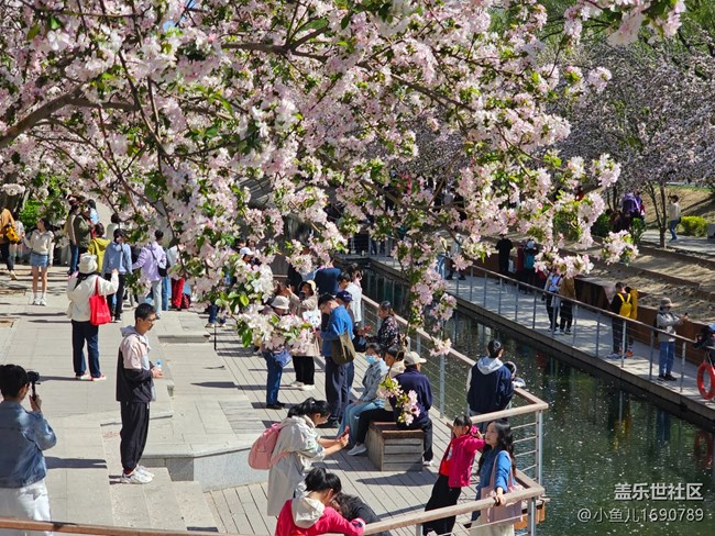 【拈花拾趣】賞花之人