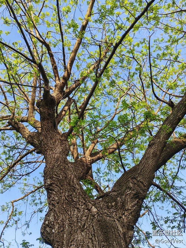 【四月春】走，賞花去！