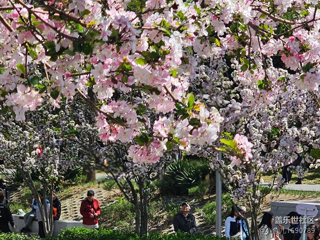 【拈花拾趣】賞花之人