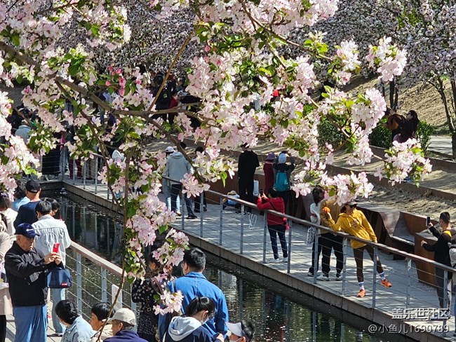 【拈花拾趣】賞花之人