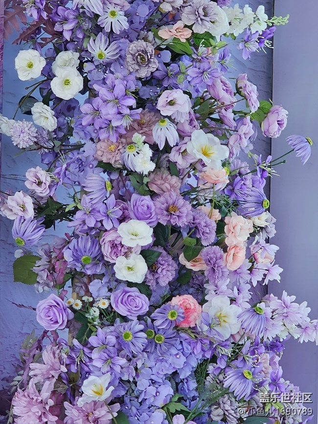 【拈花拾趣】室中之花