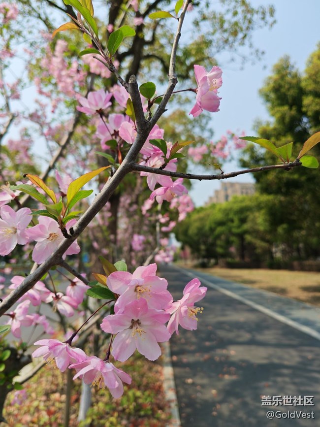 【四月春】走，賞花去！