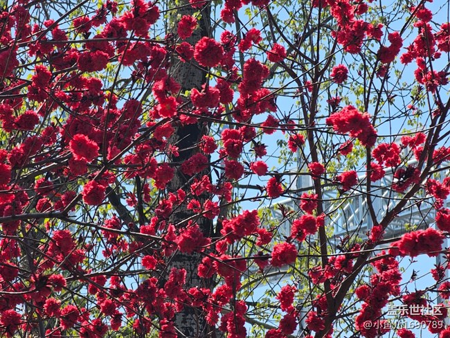 【拈花拾趣】記錄