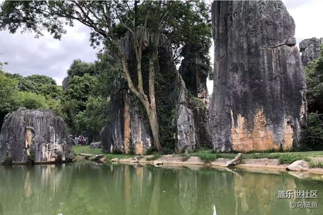 【春色撩人】石林風(fēng)景