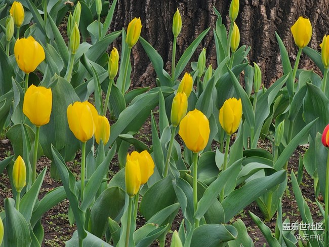 【拈花拾趣】零散