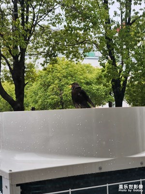 慢想時(shí)光+春日氣息