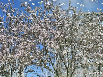 【慢想時(shí)光】+周末出游