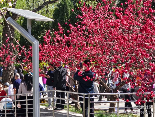 【拈花拾趣】記錄