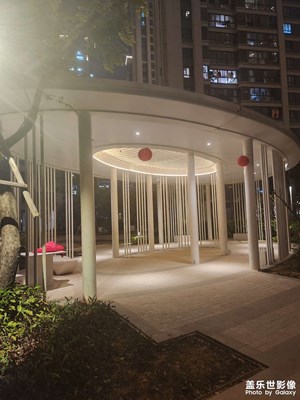 【春之夜】向新生，向美好