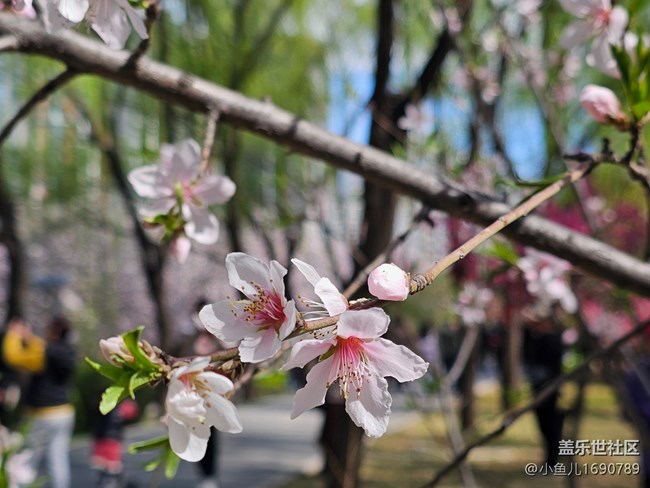 【拈花拾趣】細節(jié)