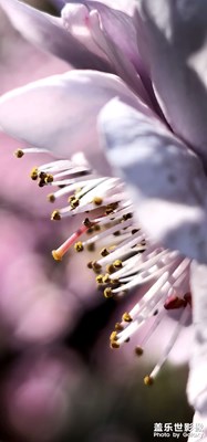 婀娜多姿的春天