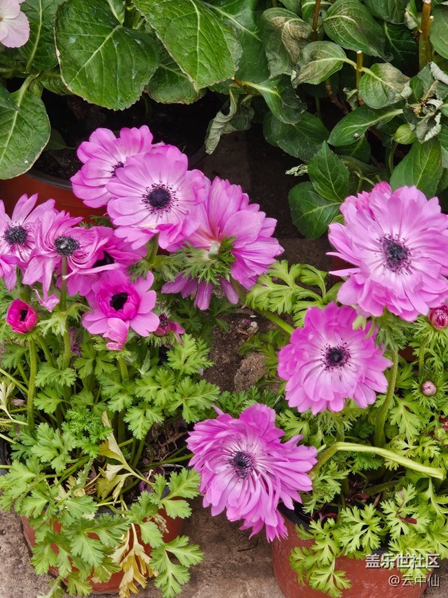 【拈花拾趣】花藝