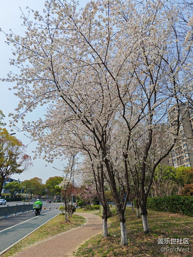 【四月春】走，賞花去！