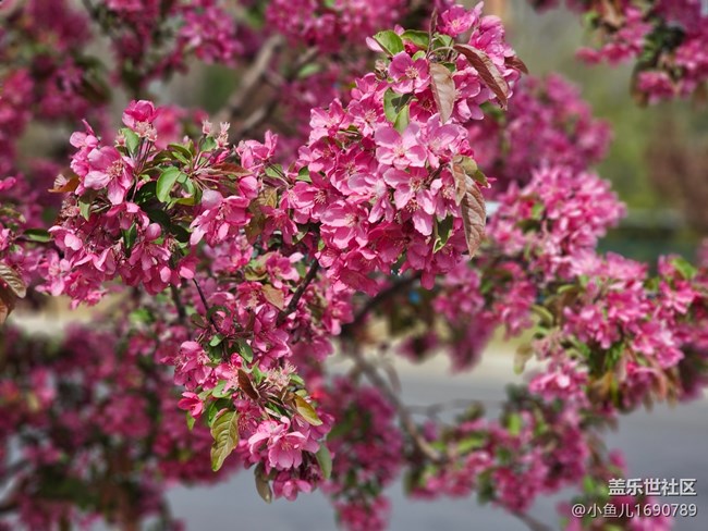 【拈花拾趣】顏色