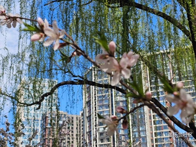 【拈花拾趣】細節(jié)