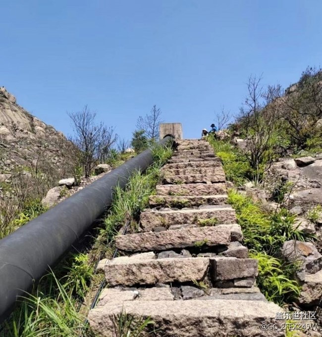 【春日盛景】登山行