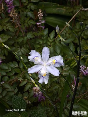 【慢想時(shí)光】+享受時(shí)光