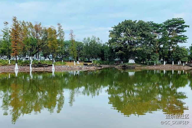 【春天的故事】城中園景，詩意棲居