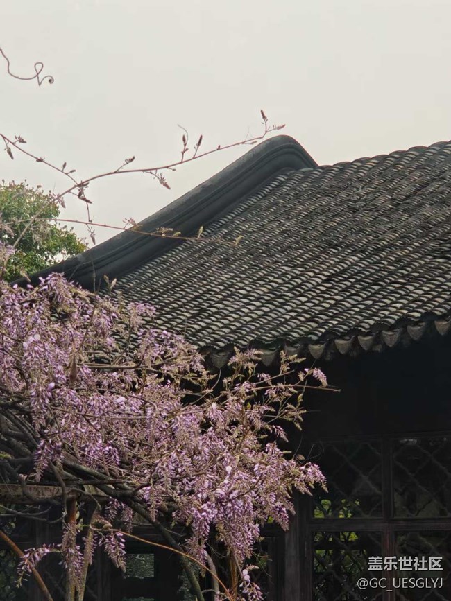 【春天的故事】春日花事，邂逅浪漫