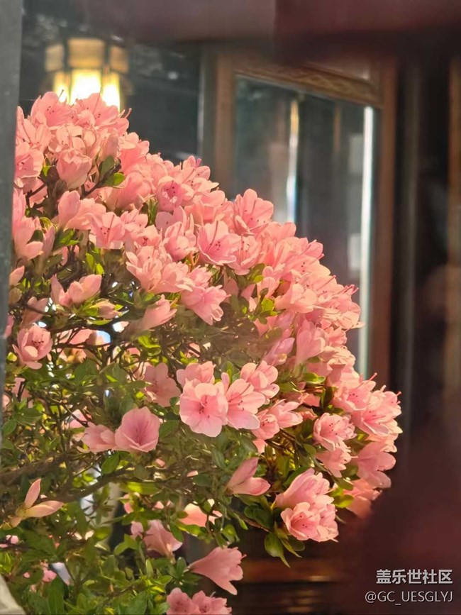 【春天的故事】春日花事，邂逅浪漫