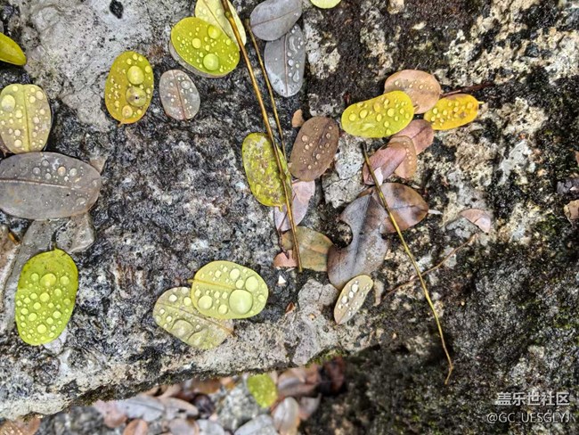 【春天的故事】山林逸趣，邂逅自然