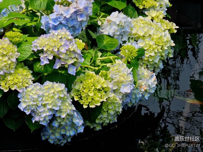 【春天的故事】闖入花園