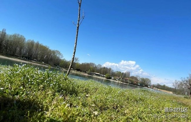 【春日盛景】戶外活動(dòng)