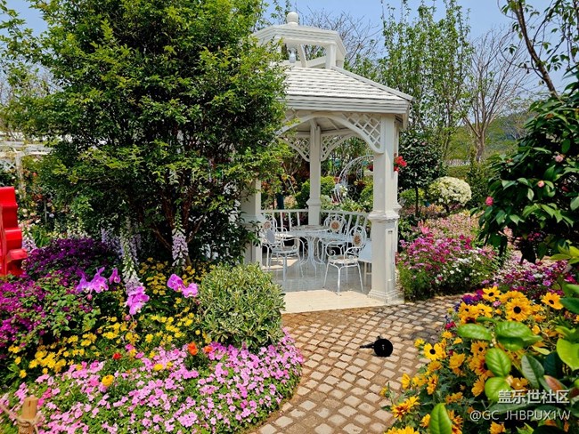 【春天的故事】闖入花園