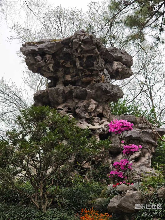 【春天的故事】蘇州，詩意江南夢