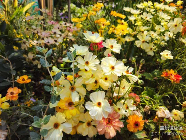 【春天的故事】闖入花園