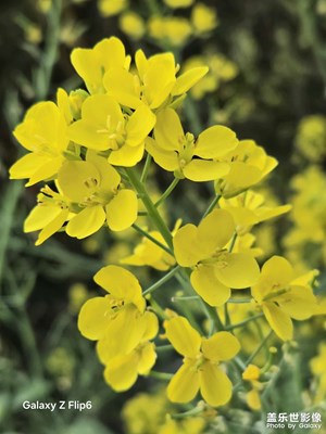 【慢想時光】+悠然自得