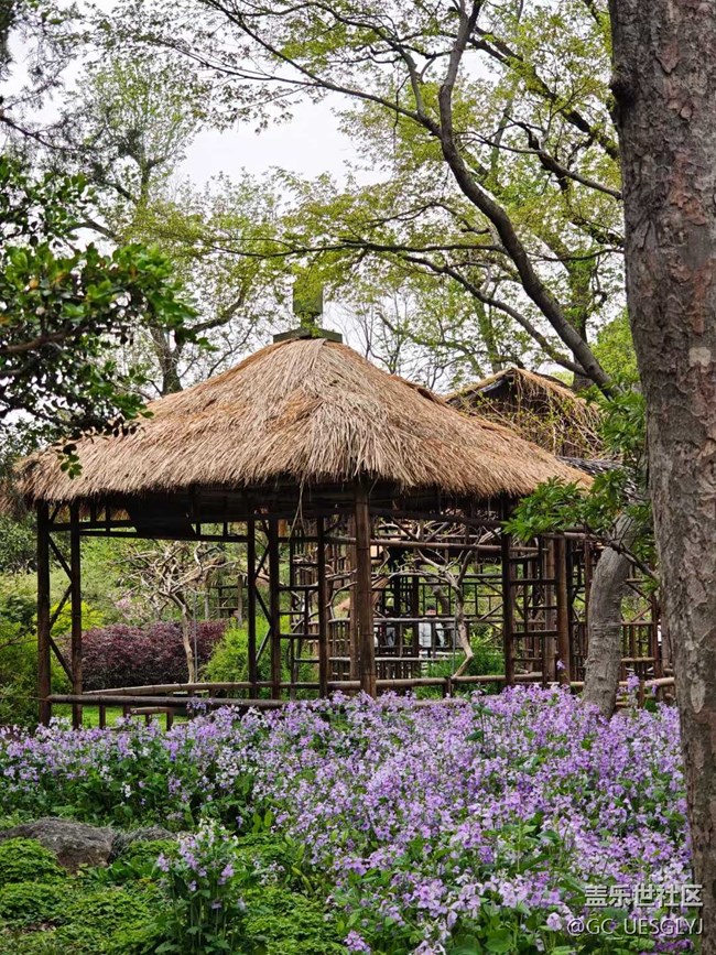 【春天的故事】春日花事，邂逅浪漫