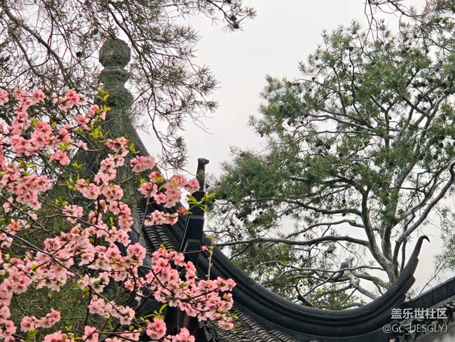 【春天的故事】春日花事，邂逅浪漫