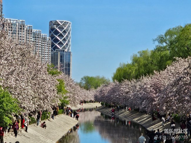 【拈花拾趣】花與建筑