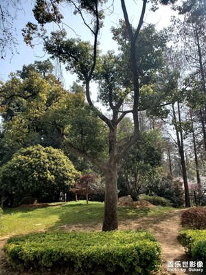 【慢想時光】+美麗風景