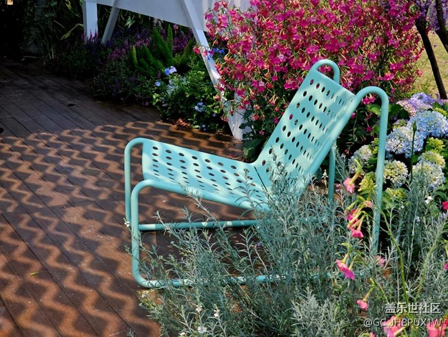 【春天的故事】闖入花園