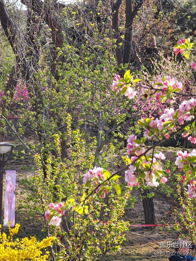 【拈花拾趣】尋芳