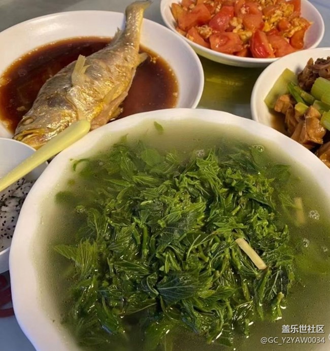 【嘗鮮正當(dāng)食】山珍