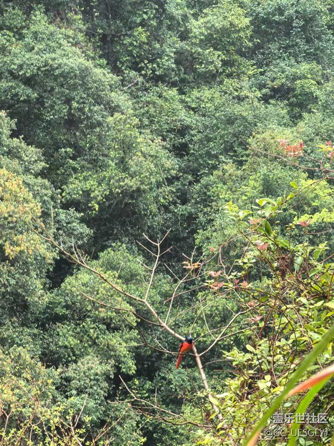 【春天的故事】山林逸趣，邂逅自然