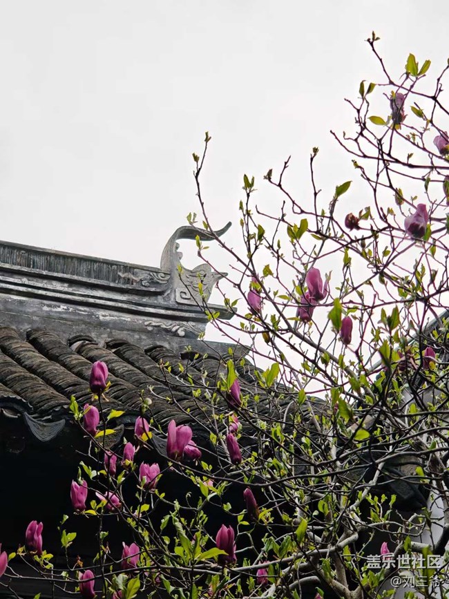 【春天的故事】蘇州，詩意江南夢