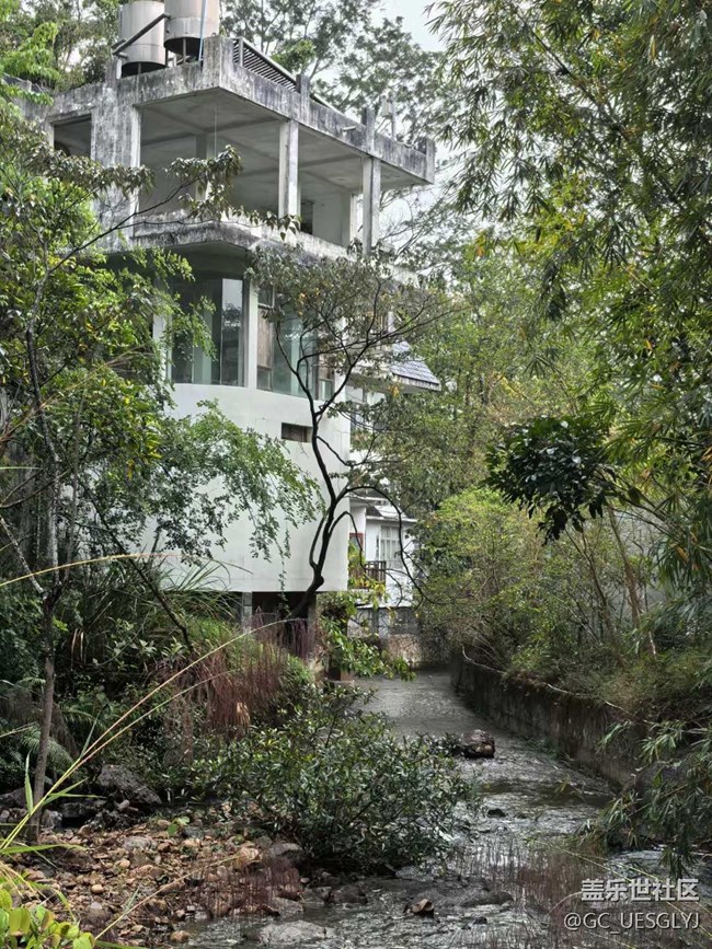 【春天的故事】山林逸趣，邂逅自然