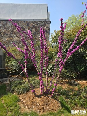 【慢想時(shí)光】+旅途隨拍