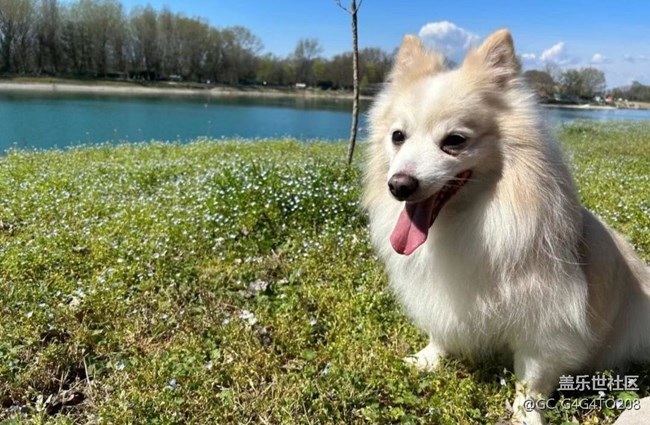 【春日盛景】戶外活動(dòng)