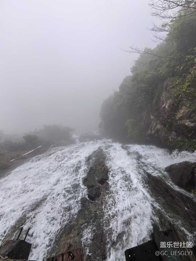 【春天的故事】山林逸趣，邂逅自然