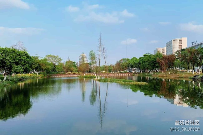 【春天的故事】城中園景，詩意棲居