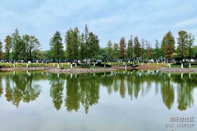 【春天的故事】城中園景，詩意棲居