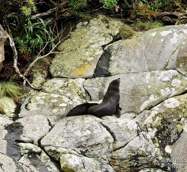 【春天的故事】新西蘭，奇遇之旅