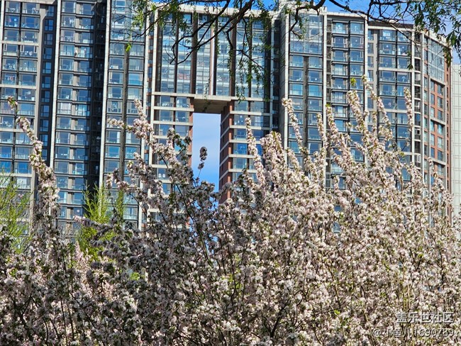 【拈花拾趣】花與建筑