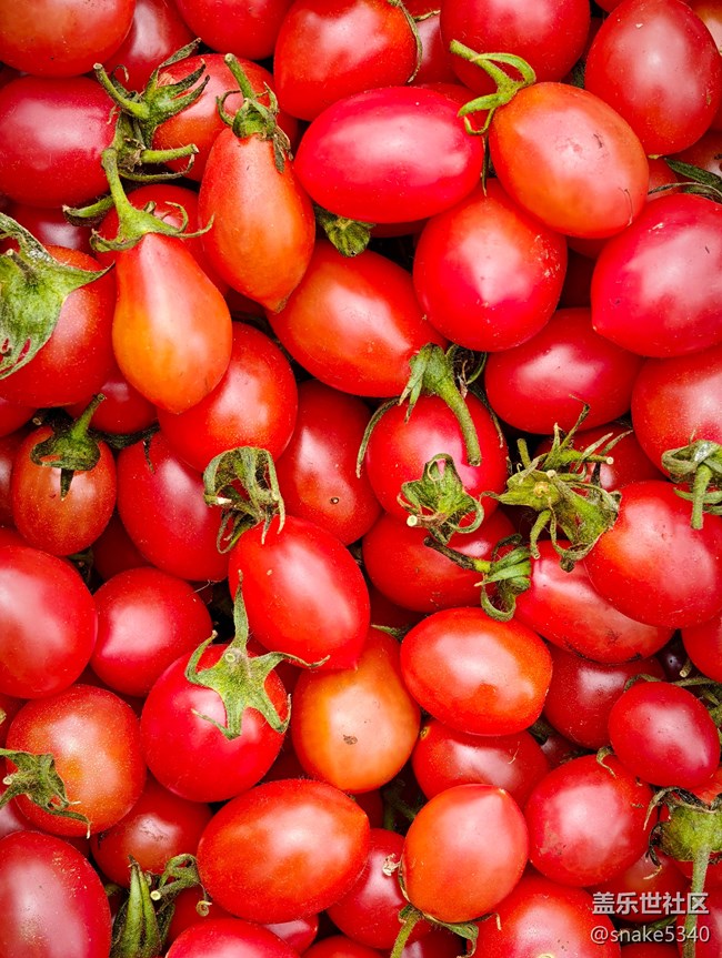 【春天的故事】+逛早市