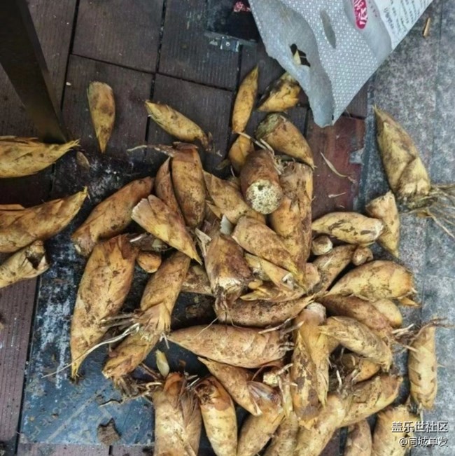 【嘗鮮正當食】鮮美春筍